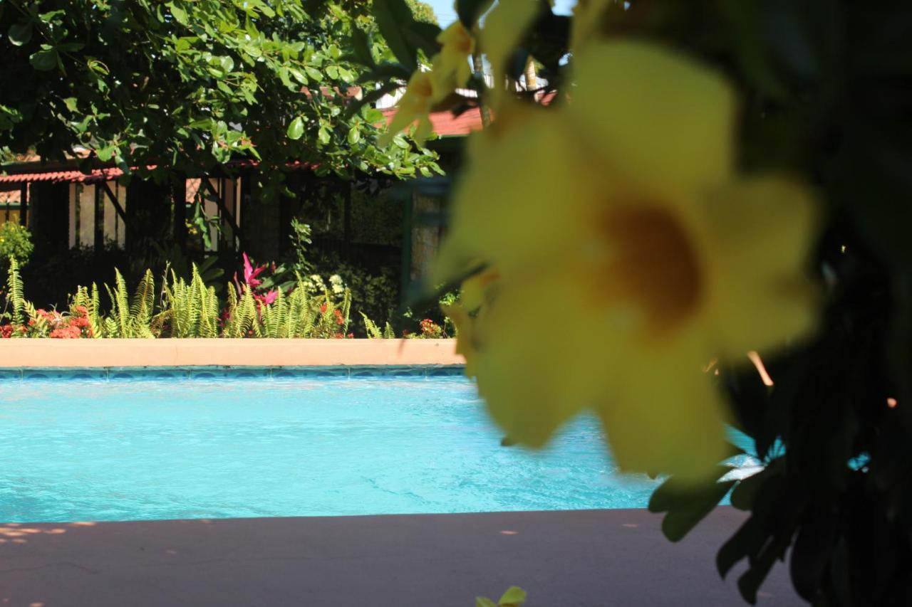 Hotel Bristol Aeropuerto Animas  Ngoại thất bức ảnh