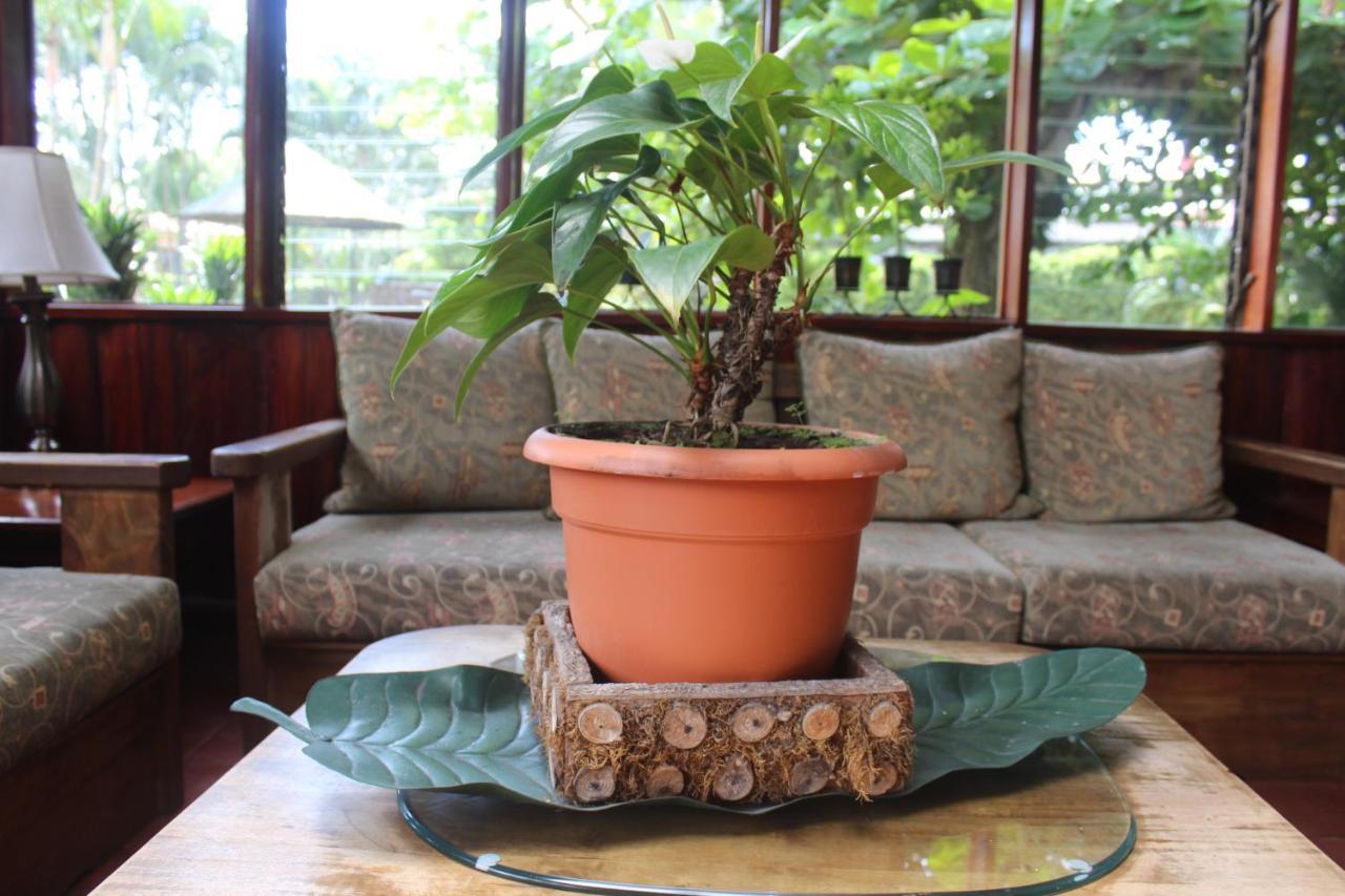 Hotel Bristol Aeropuerto Animas  Ngoại thất bức ảnh